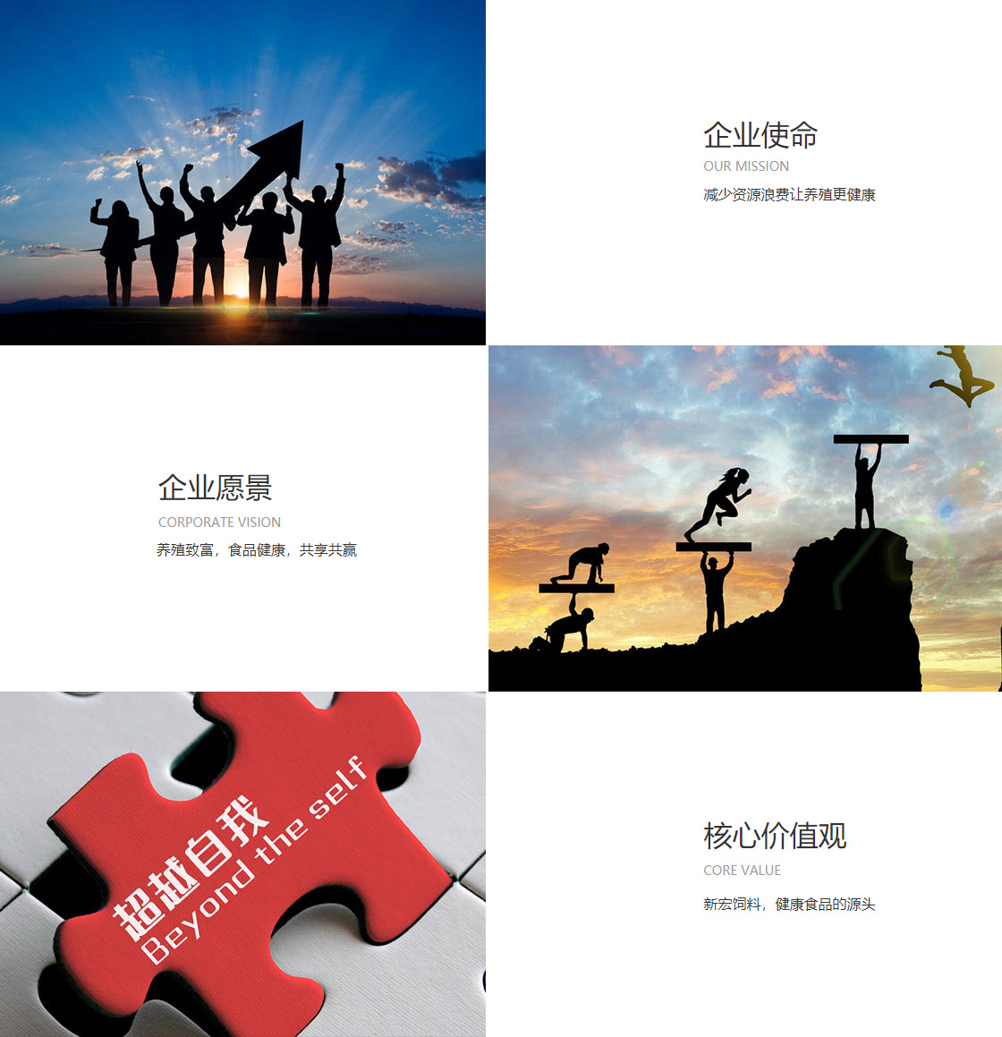 开云手机站登入(图1)